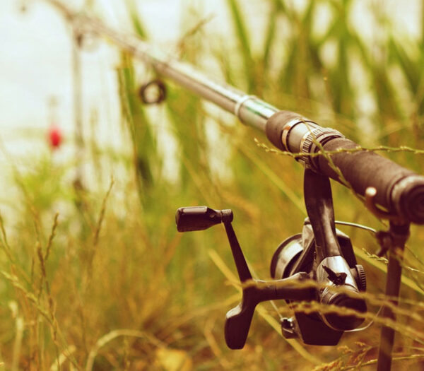 Rods