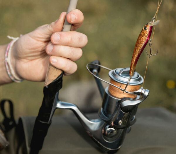Reels
